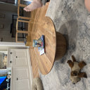 Joss & Main Iver Solid Wood Coffee Table & Reviews | Wayfair